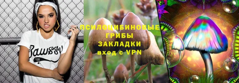 Галлюциногенные грибы MAGIC MUSHROOMS  hydra ССЫЛКА  Набережные Челны 